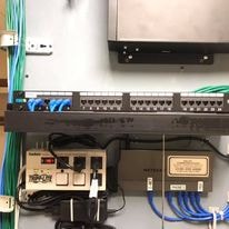 Close-up of network patch panel and structured cabling installation